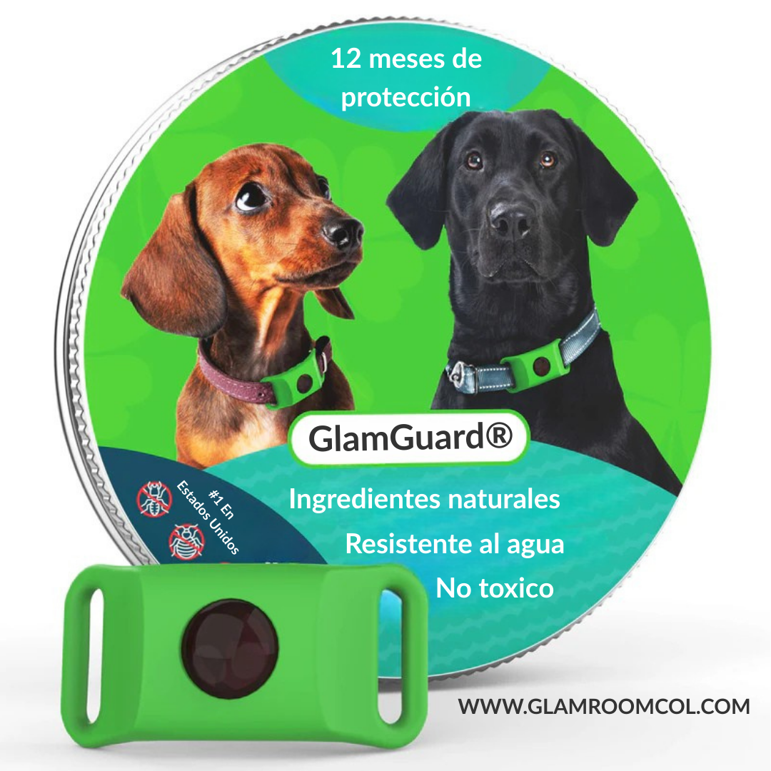 GlamGuard - 12 meses libre de pulgas y garrapatas