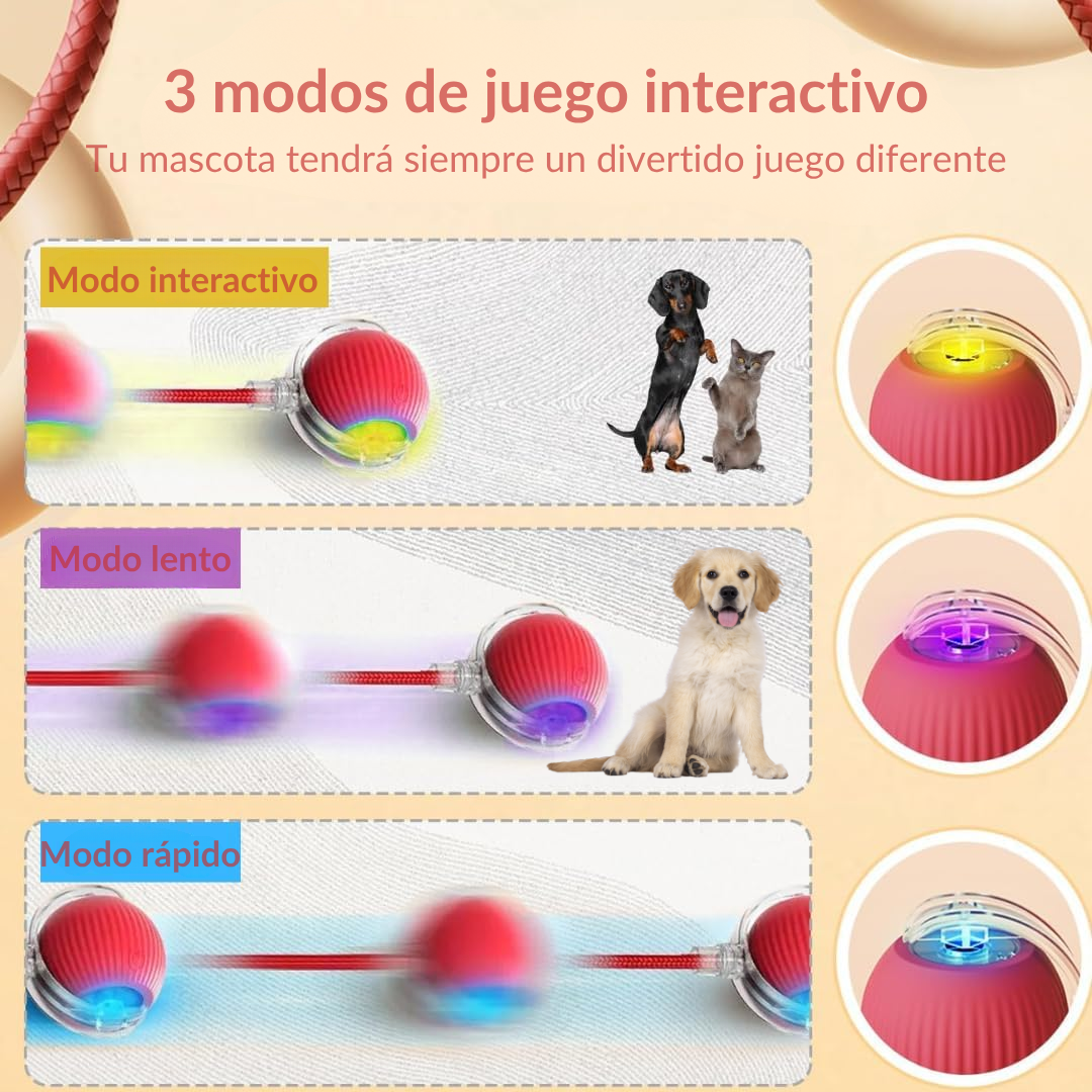 GlamRoller – Juguete inteligente para perros y gatos