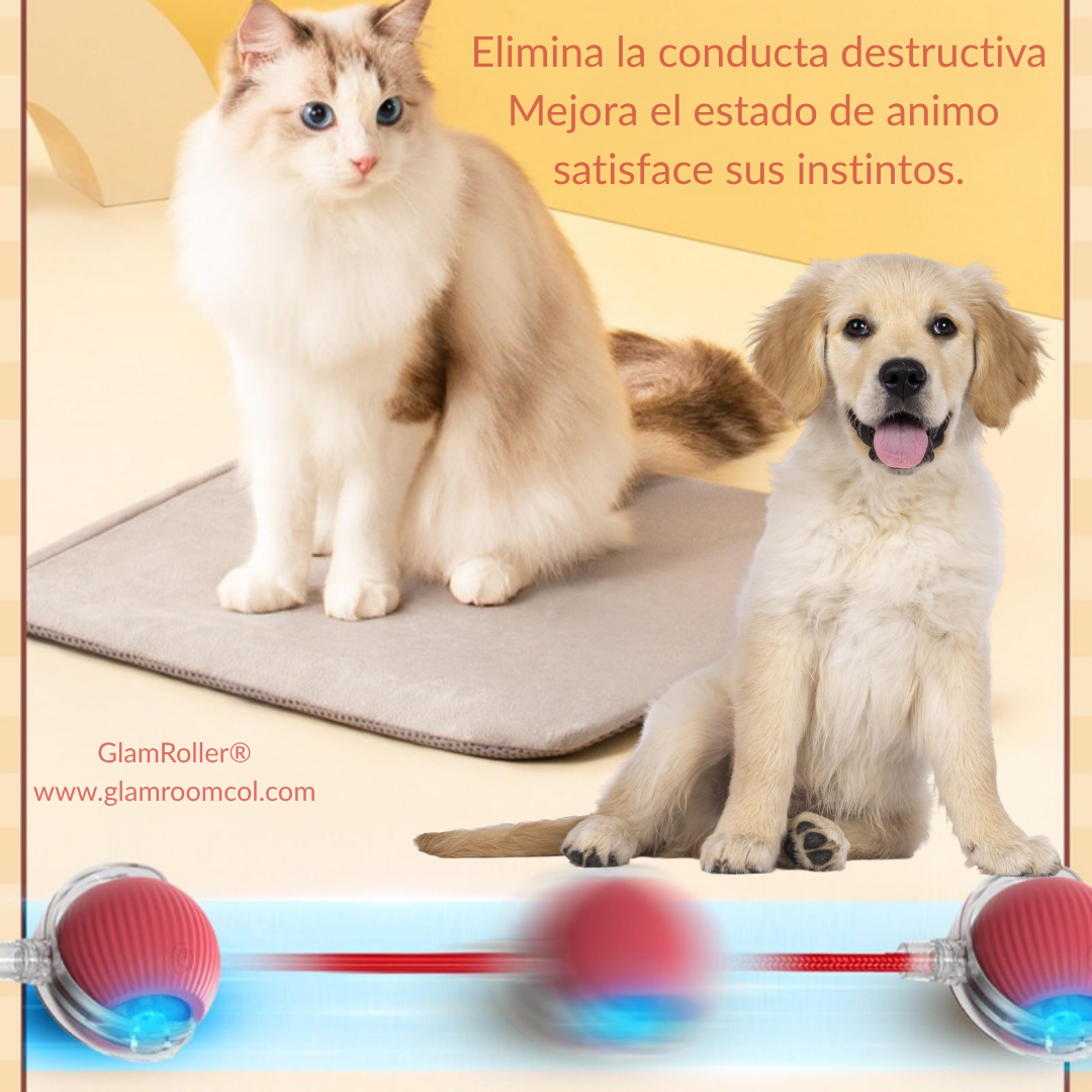 GlamRoller – Juguete inteligente para perros y gatos