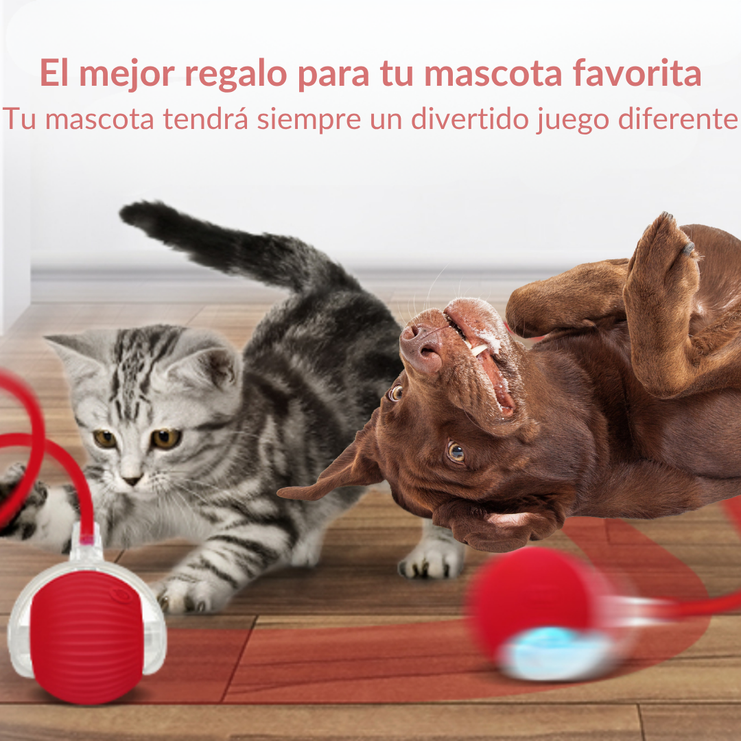 GlamRoller – Juguete inteligente para perros y gatos